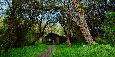 polylepis-lodge-ecuador.jpg