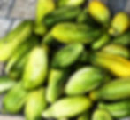 Cucumbers
