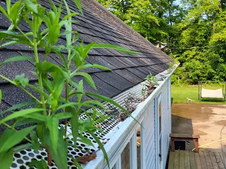 STRUCTURAL INTEGRITY: THE CRITICAL ROLE OF GUTTER DRAINAGE