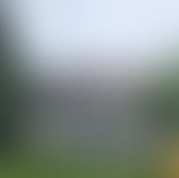 THE SCIENCE OF ASPHALT SHINGLE PRESERVATION: ELIMINATING GLOEOCAPSA MAGMA GROWTH