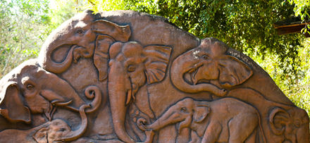 Pinnawala Elephant Orphanage