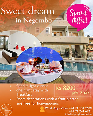 Sri Lanka day out packages for locals