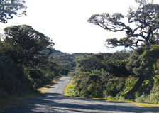 Horton Plains National Park