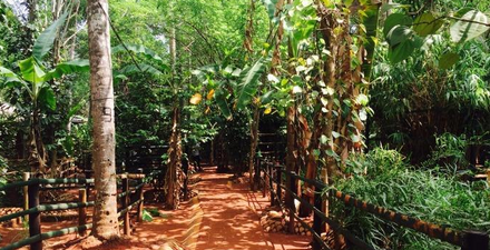 Batik center Matale