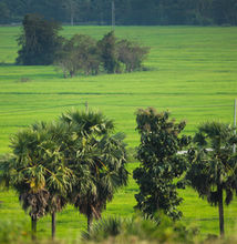 Habarana to Trincomalee
