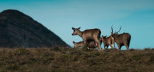 Horton Plains National Park