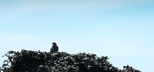 Horton Plains National Park