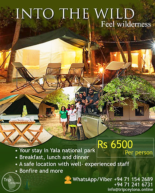Sri Lanka day out packages for locals