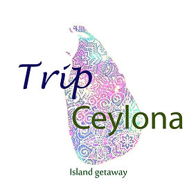 Trip Ceylona: Travel Agent in Sri Lanka |Travel Agents Sri Lanka | Tour Operator in Sri Lanka | Sri Lanka Tour Operators | Sri Lanka Travel Agencies | Inbound Tour Operators in Sri Lanka | Event Organizers in Sri Lanka