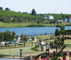 Gregory Park