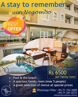 Sri Lanka day out packages for locals