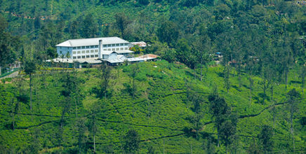 Visit Ella in Sri Lanka