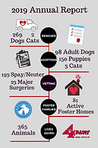 2019 Annual Report.png