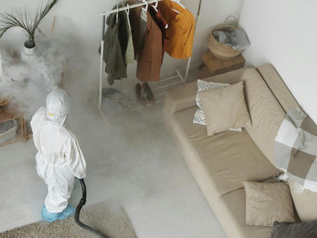 How to Choose Effective Pest Control Solutions