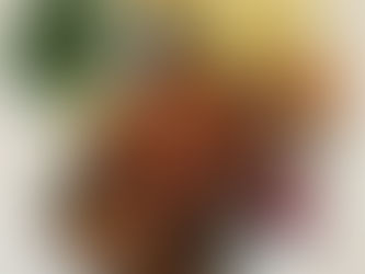 The Beginner’s Guide: Perfect Meals with Meat Thermometer