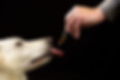 Clean CBD for Dogs: How to Choose a Safe Brand