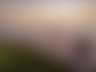 Beachfront Estate within The Strand at Bay Colony in Naples, Florida, to Auction via Concierge Auctions