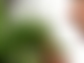 The Five Best THCA Flower Strains in 2026