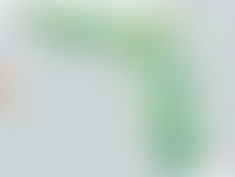 How a New Mapping Tool Helps Florida Planners Protect Wildlife Corridors as the State Grows