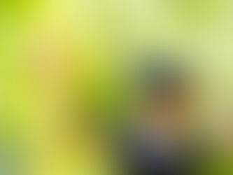 Experiences Win Because They Fit Real Life Now