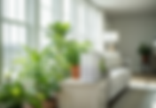 Improving Indoor Air Quality for a Healthier Home