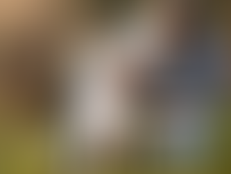 Essential Grooming Products Every Miami Dog Owner Needs: The 7 Best Items for the Tropical Climate