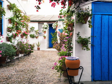 Creative Containers: Exploring Unique Planter Options for Your Garden