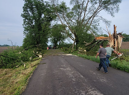 storm clean up with excavator and chainsaw