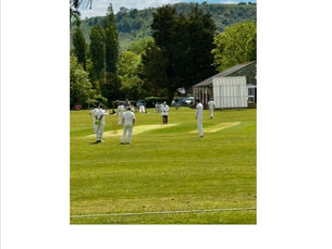 Cricket on the village green