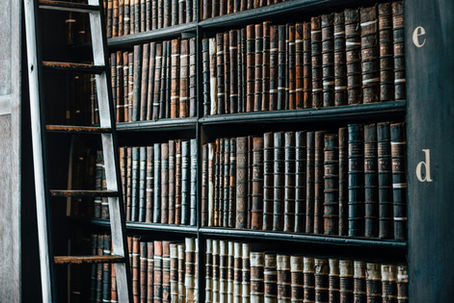 A bookshelf of leather bound books with a library ladder