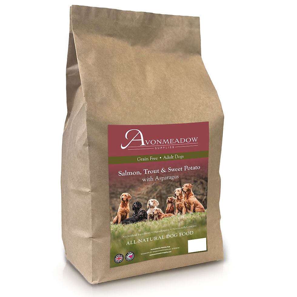 Thumbnail: Dog food on white background