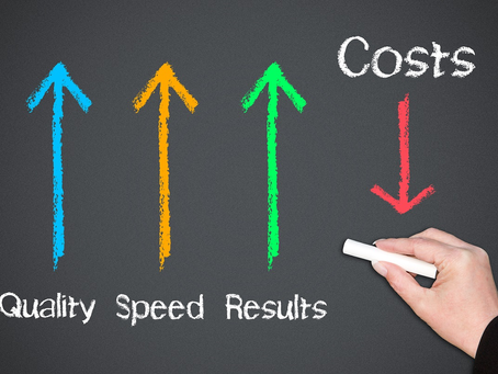 Software and Platform Delivery Cost Optimisation