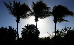 ISLA MARGARITA  1