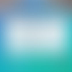 2025 제17회 KALO 정기학술대회