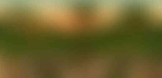 Scene 5