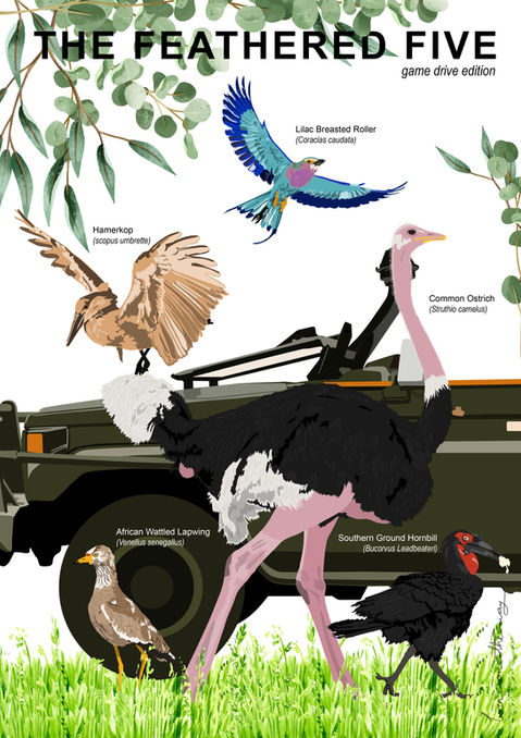 illustration of an electric safari vehicle in the savannah. ostrich, lilac breasted roller, hamerkop, lapwing, hornbill