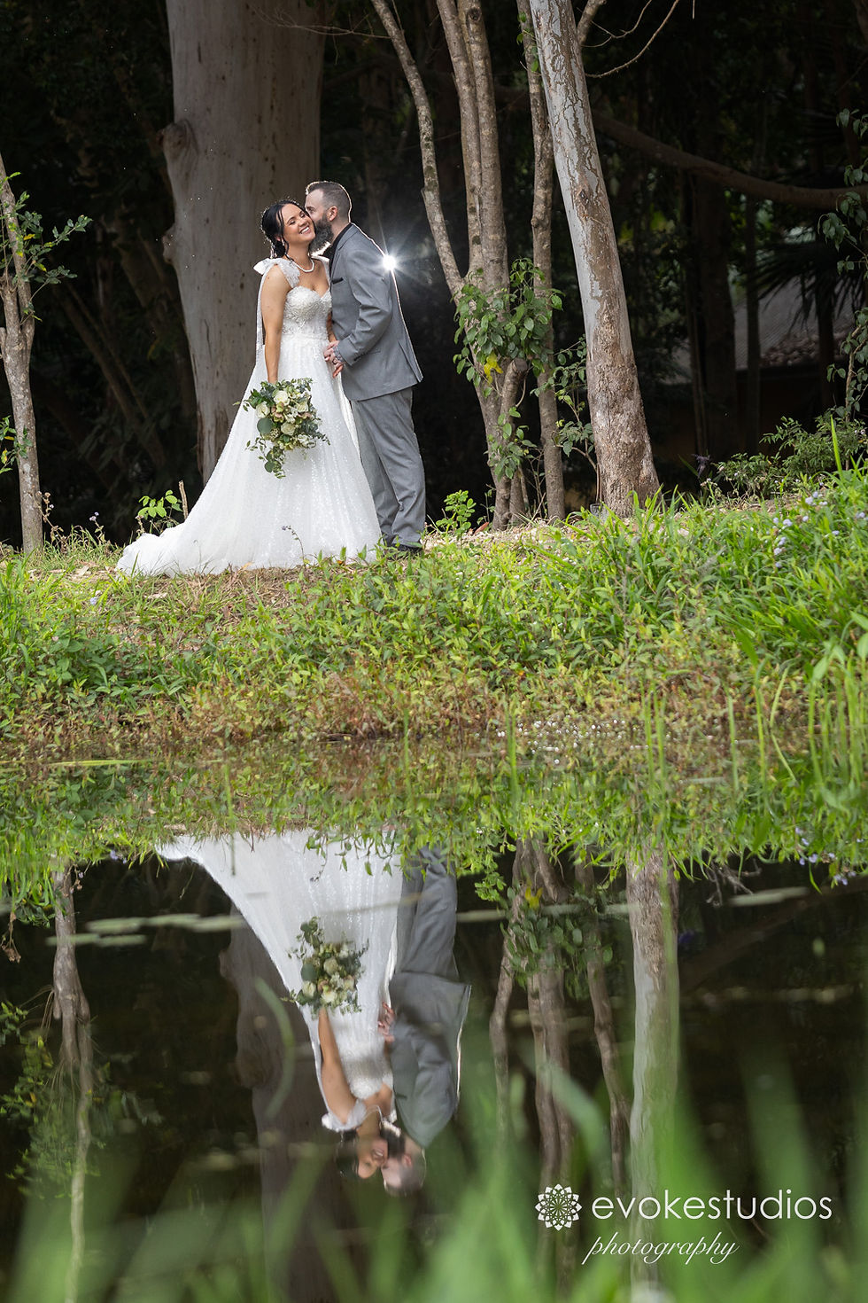 Tamborine Mountain Glades Photographer