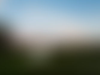 Thomas & Thuy's Victoria Park Wedding