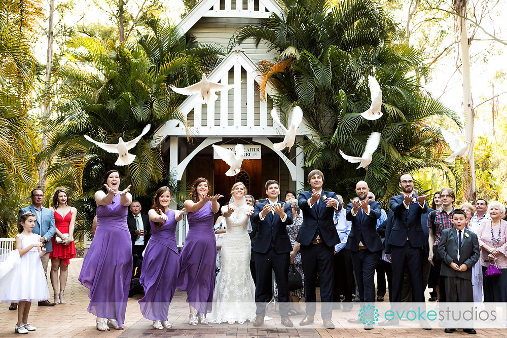 Wedding dove release