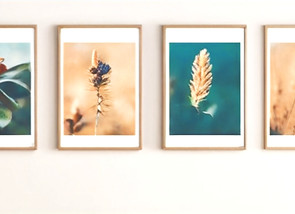 few picture Artwork on a wall_edited.jpg