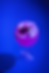 kiosq8.png