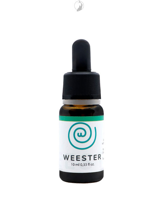 Olio Weester Pavia Agenzia Galeus Merate Lecco