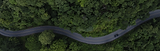 green-road.png