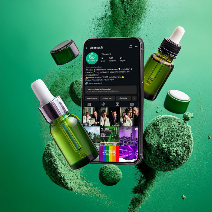 Weester Instagram management Agenzia Galeus Merate Lecco