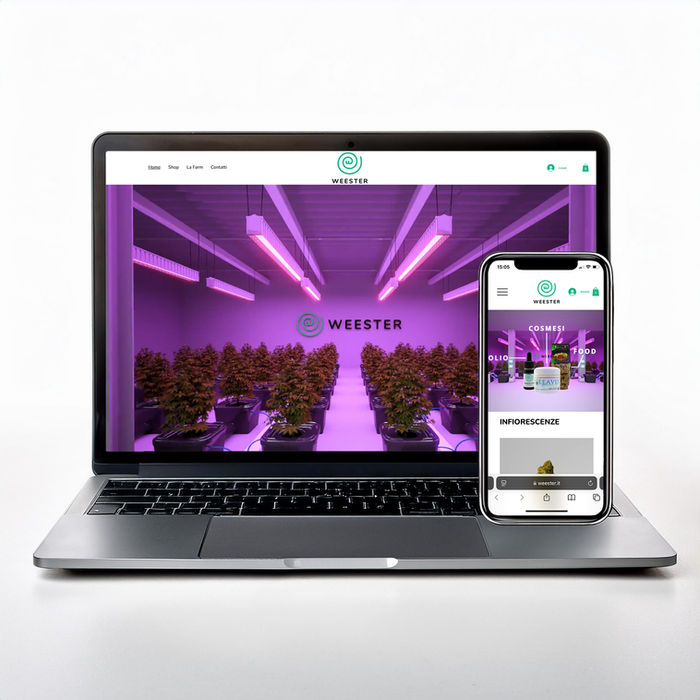 Weester Pavia Agenzia Galeus Merate Lecco