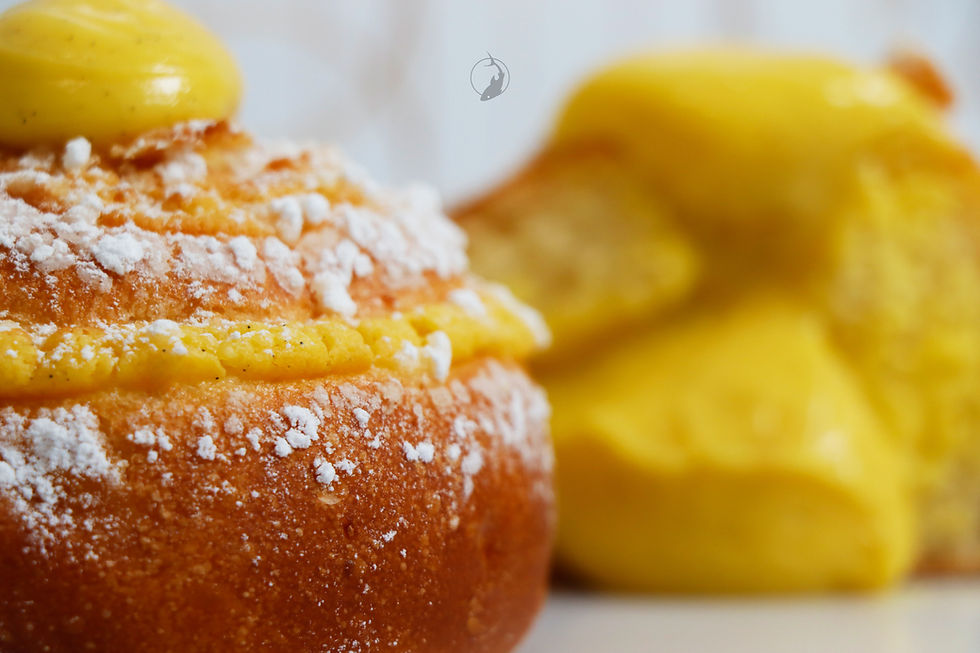 Pasticceria Spadafora Pavia Galeus