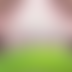 Encomienda tu camino al Señor