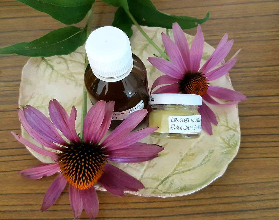 Hausapotheke für die kalte Jahreszeit - Praxisteil