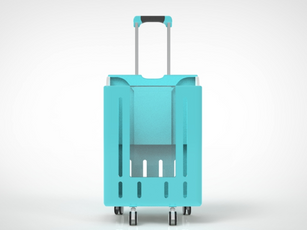 grocery carrier 3.png