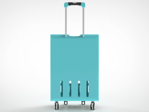grocery carrier 4.png